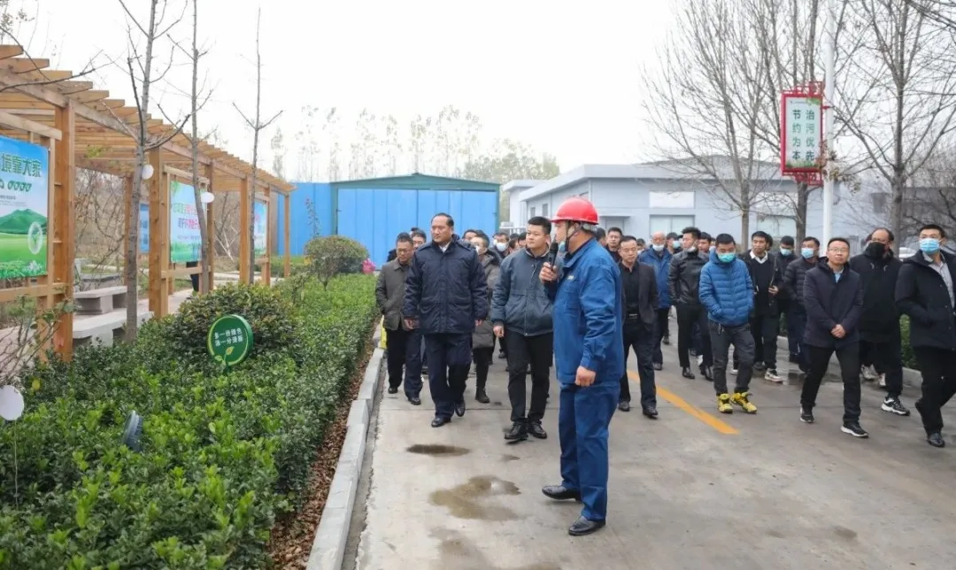 1611039619662187D10e.jpg 243.jpg