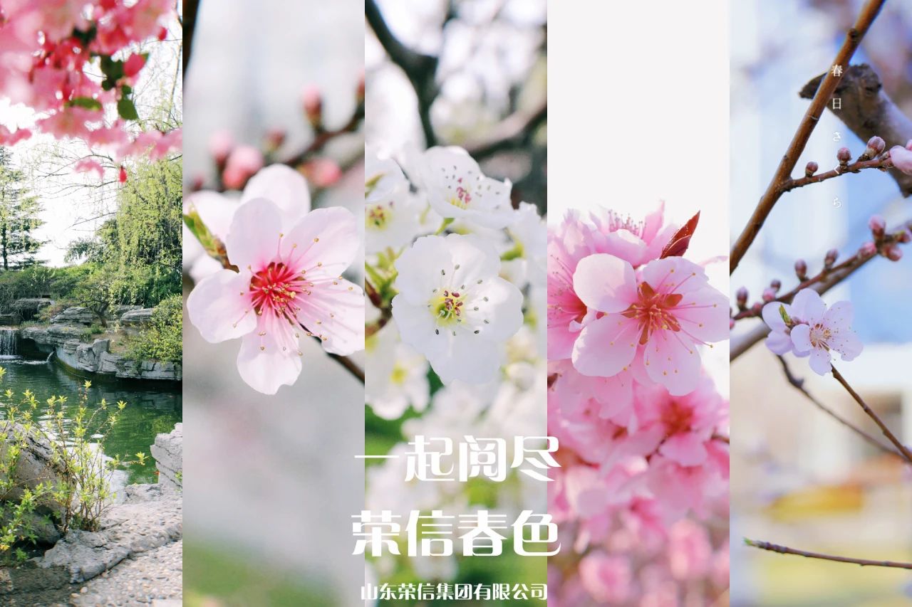 1617087538669890bIxq.jpg 微信圖片_20210330145004.jpg